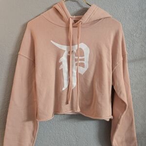 Phantogram Cropped Hoodie